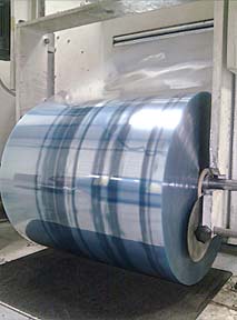 6 Cavity Collation Tray